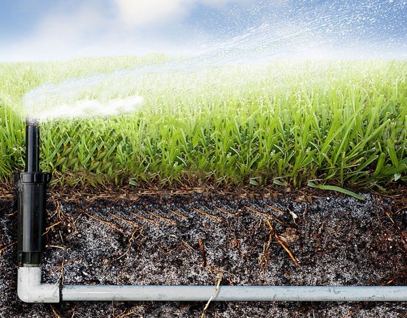 Описание изображения