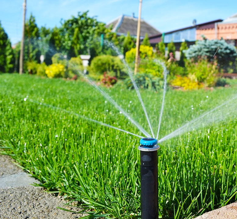 Описание изображения