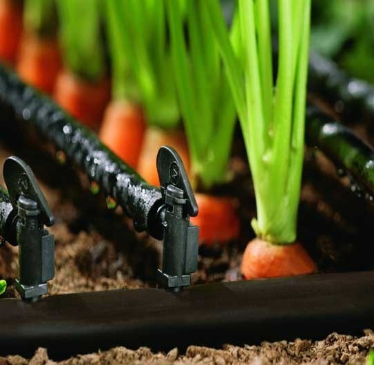 Описание изображения