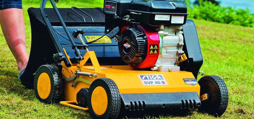 Описание изображения