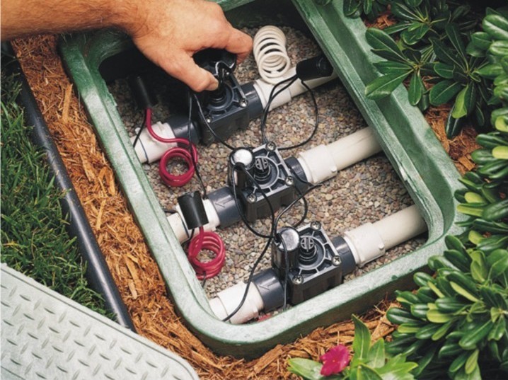 Описание изображения