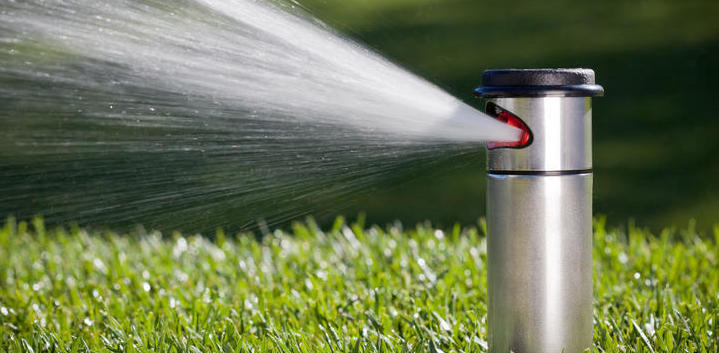 Описание изображения