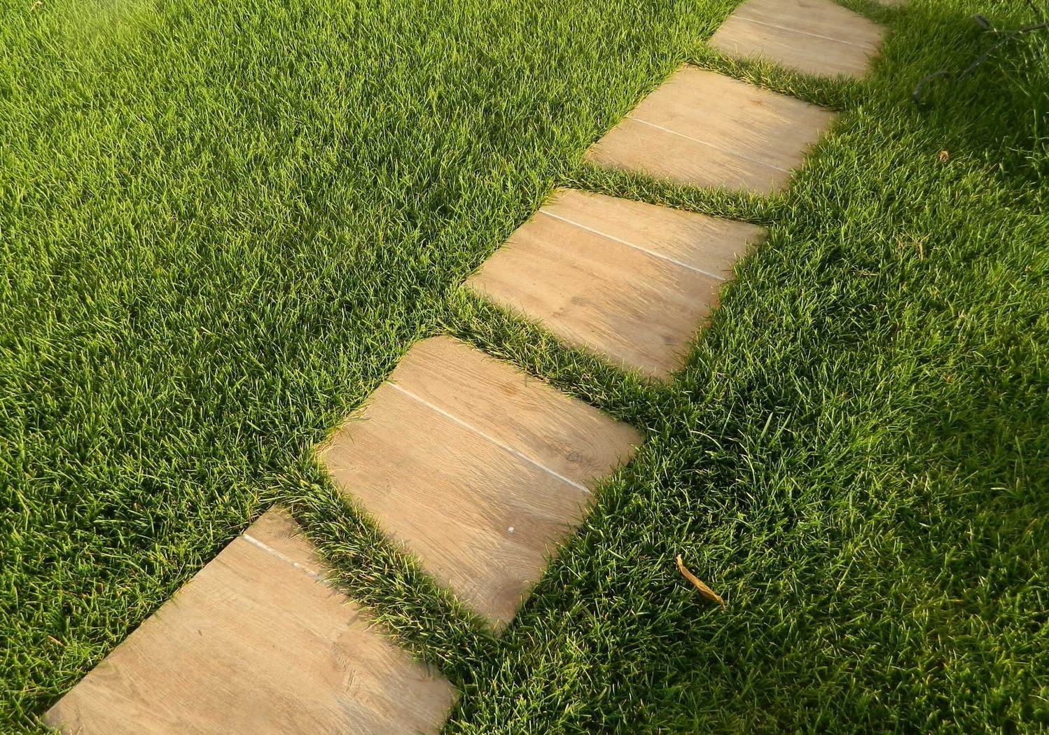 Описание изображения