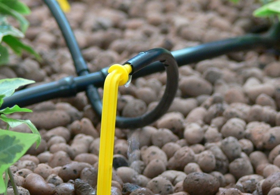 Описание изображения