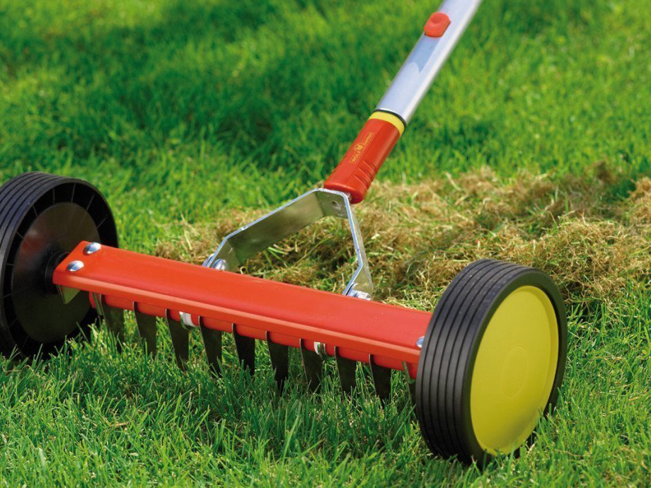 Описание изображения