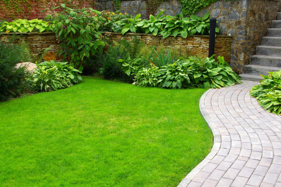 Описание изображения