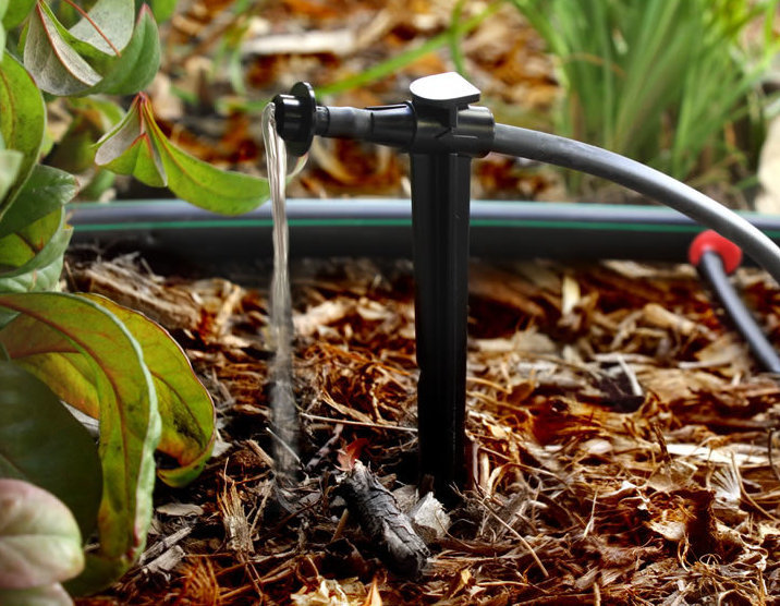 Описание изображения