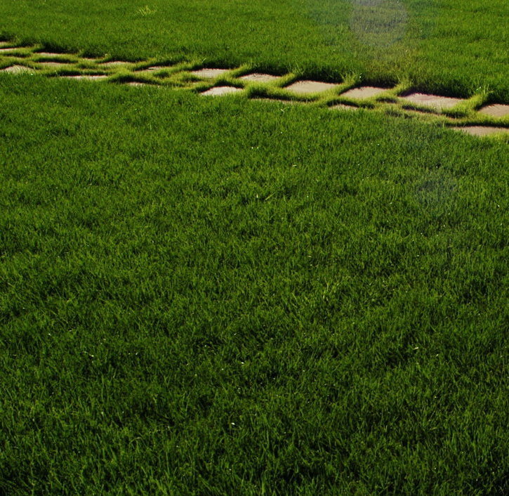 Описание изображения