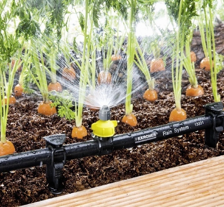 Описание изображения