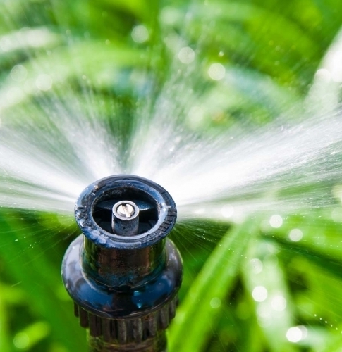 Описание изображения