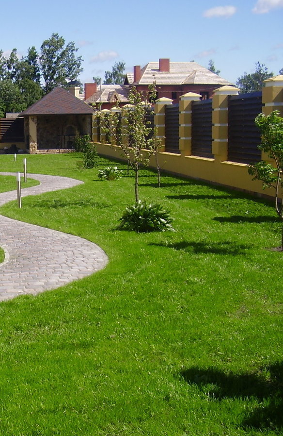 Описание изображения