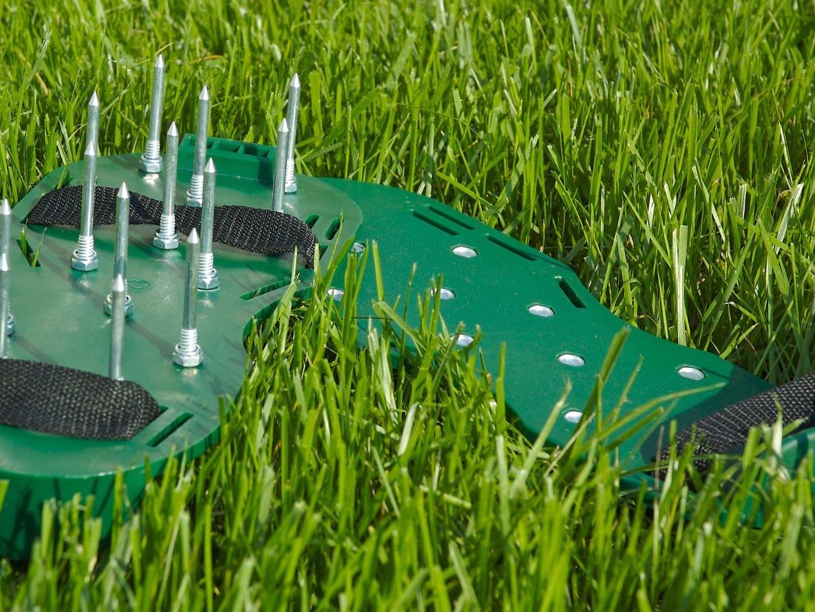 Описание изображения