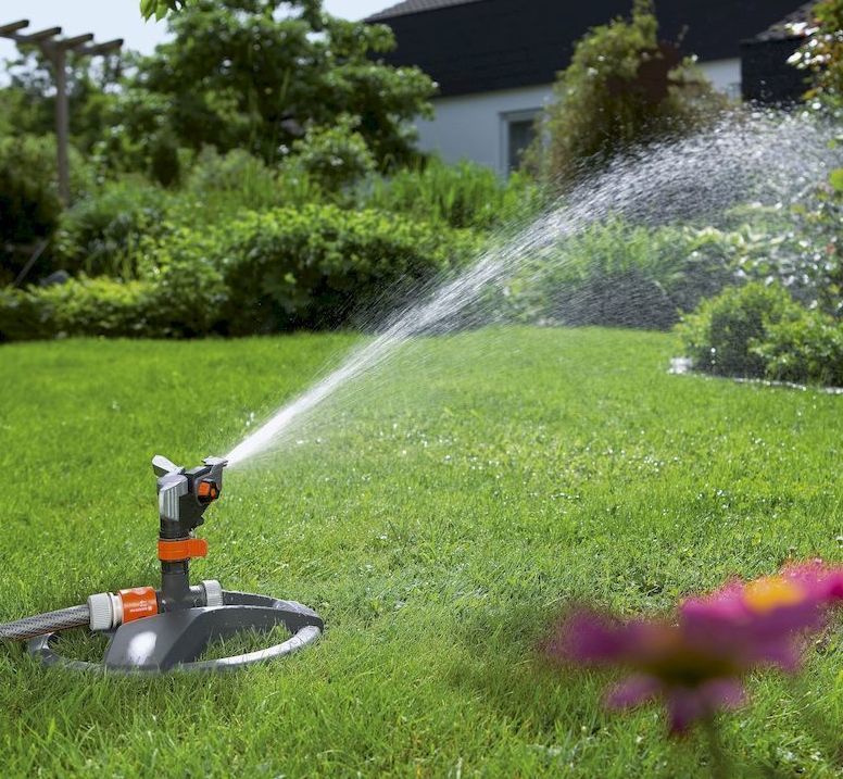 Описание изображения