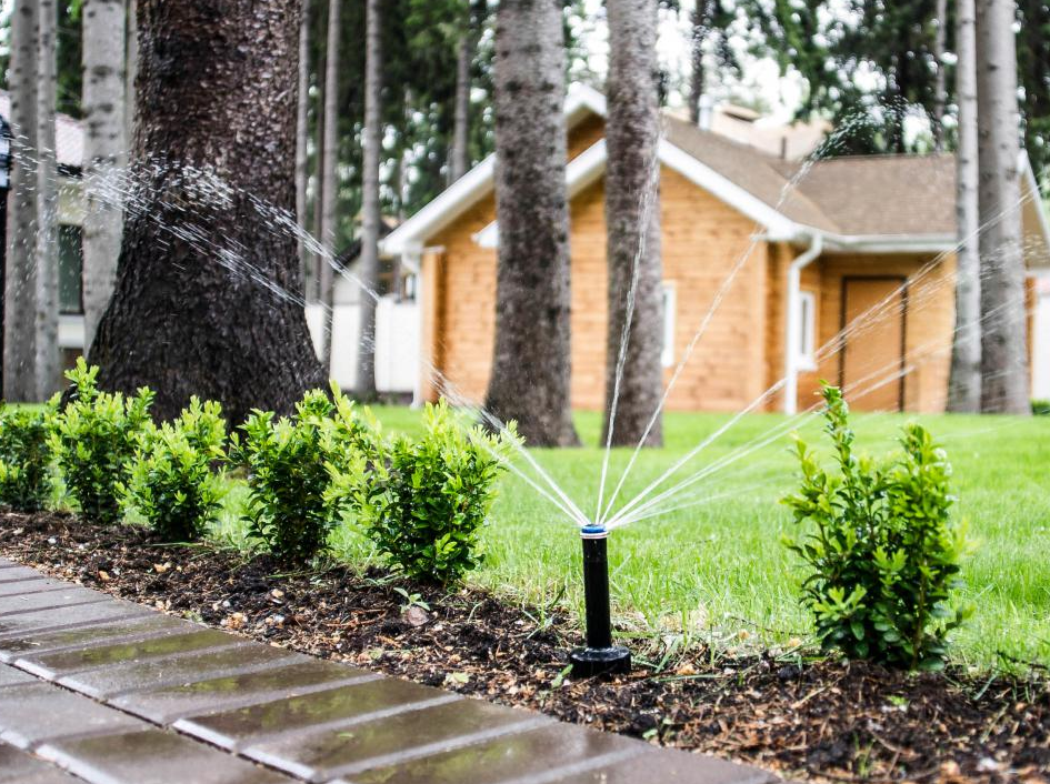 Описание изображения