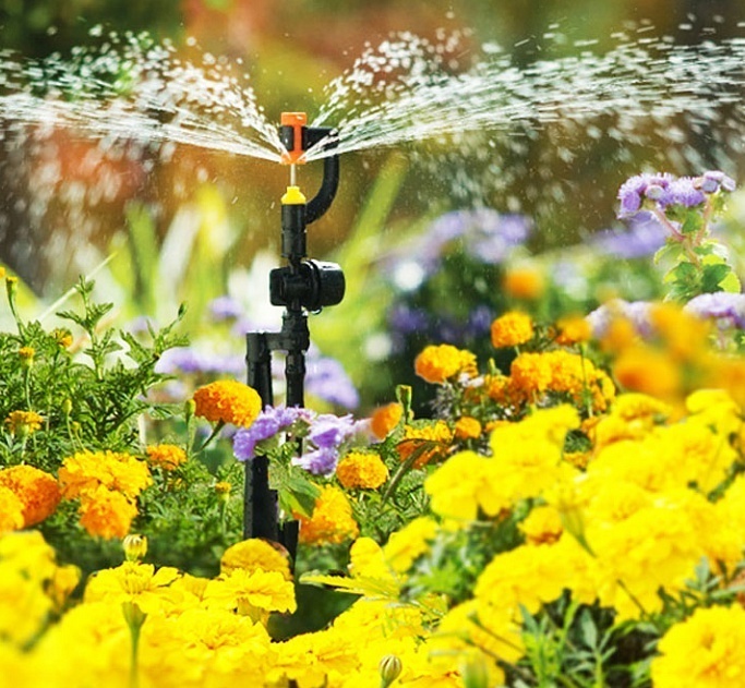 Описание изображения