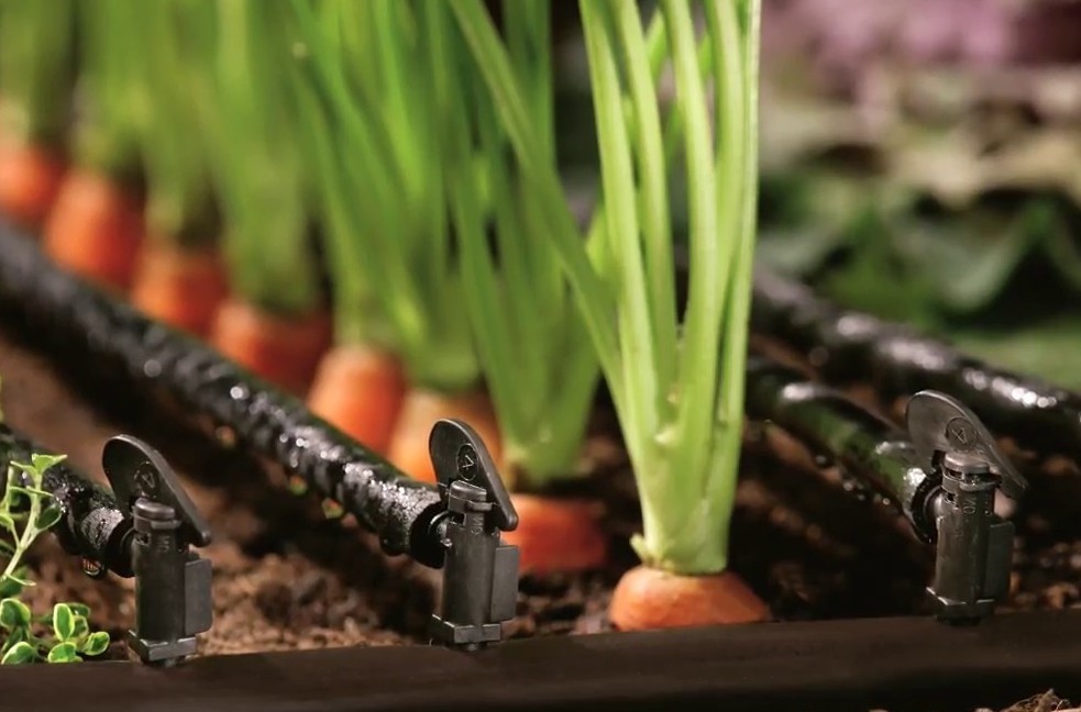 Описание изображения