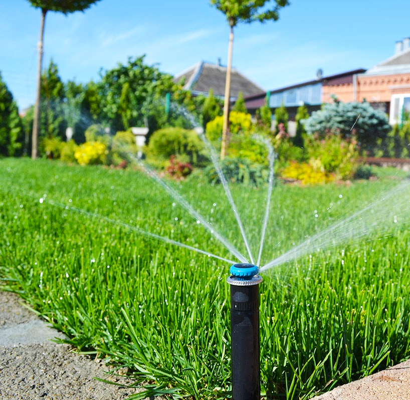 Описание изображения