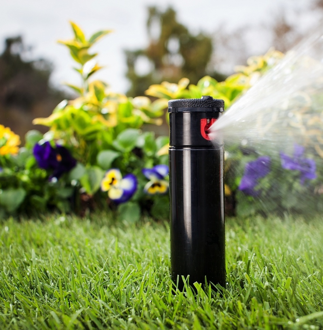 Описание изображения