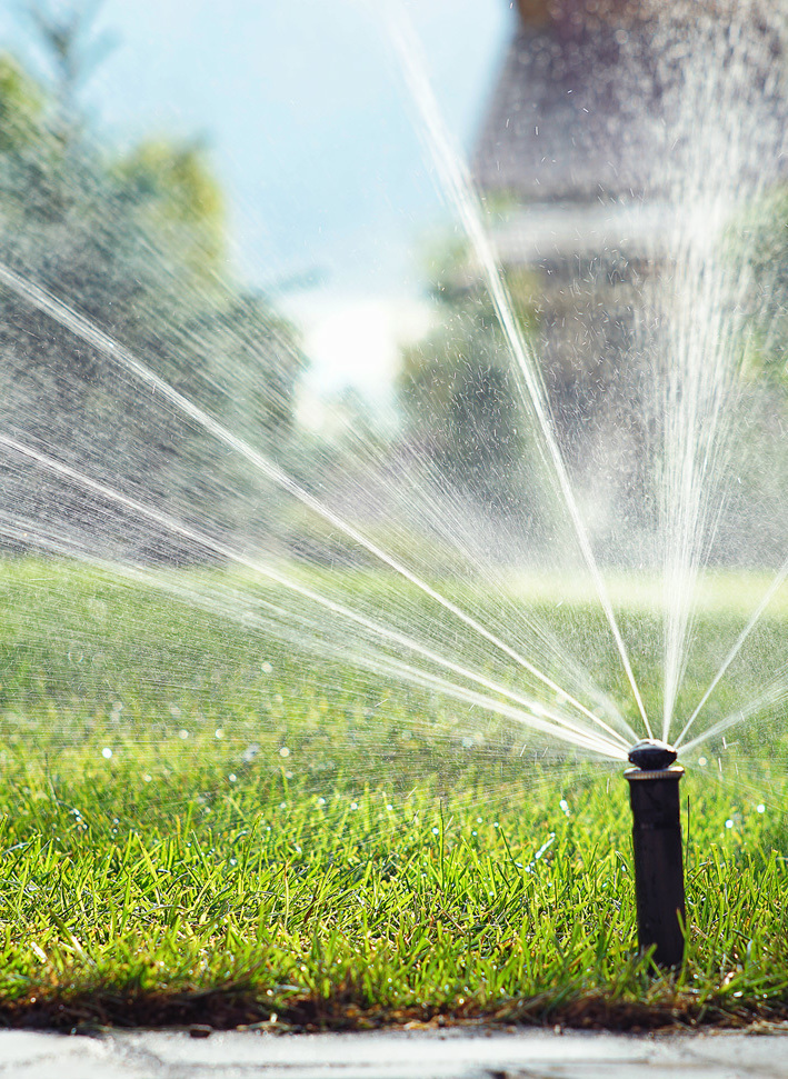 Описание изображения