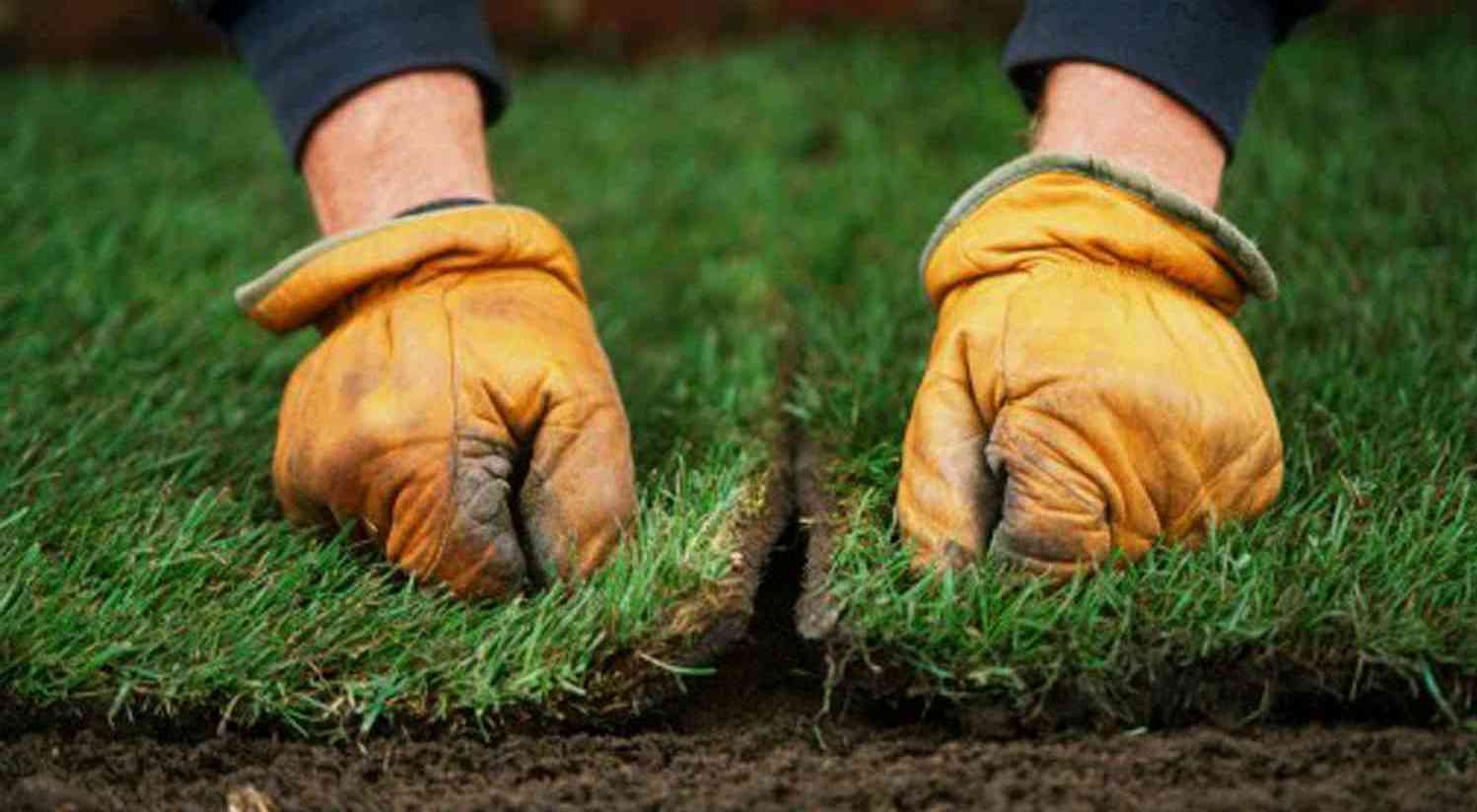 Описание изображения