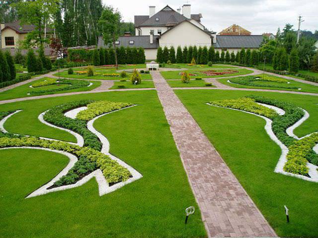 Описание изображения