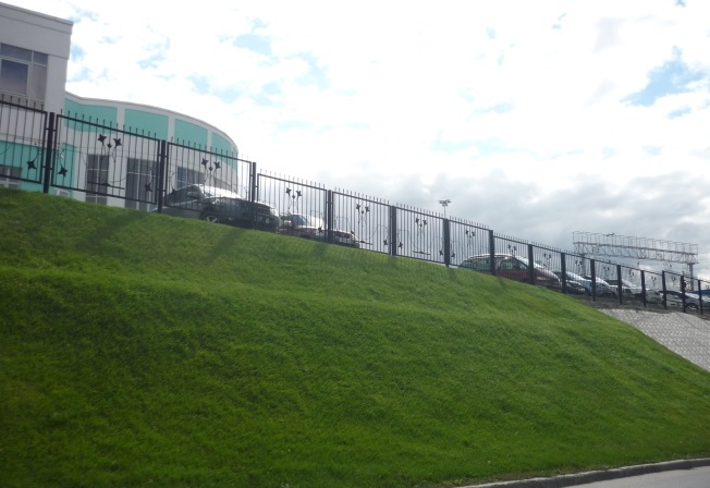 Описание изображения