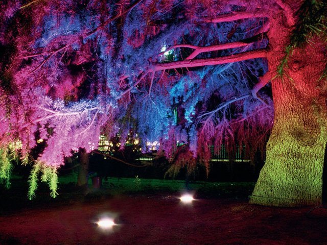 Описание изображения