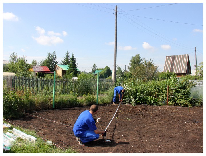 Описание изображения