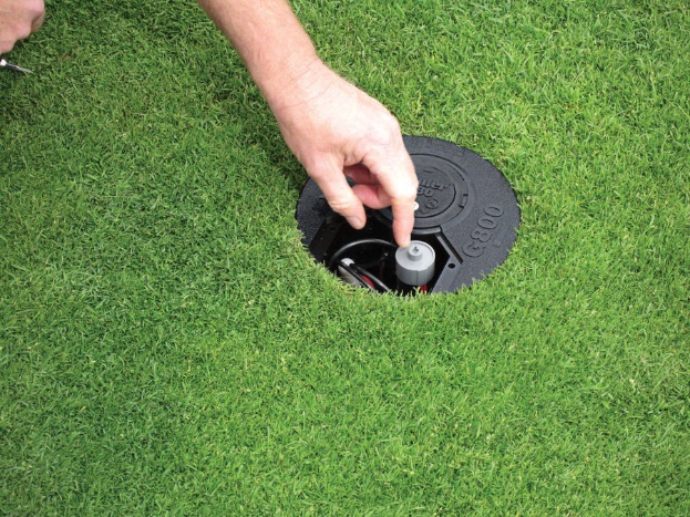 Описание изображения