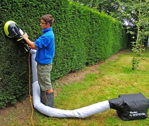 Описание изображения