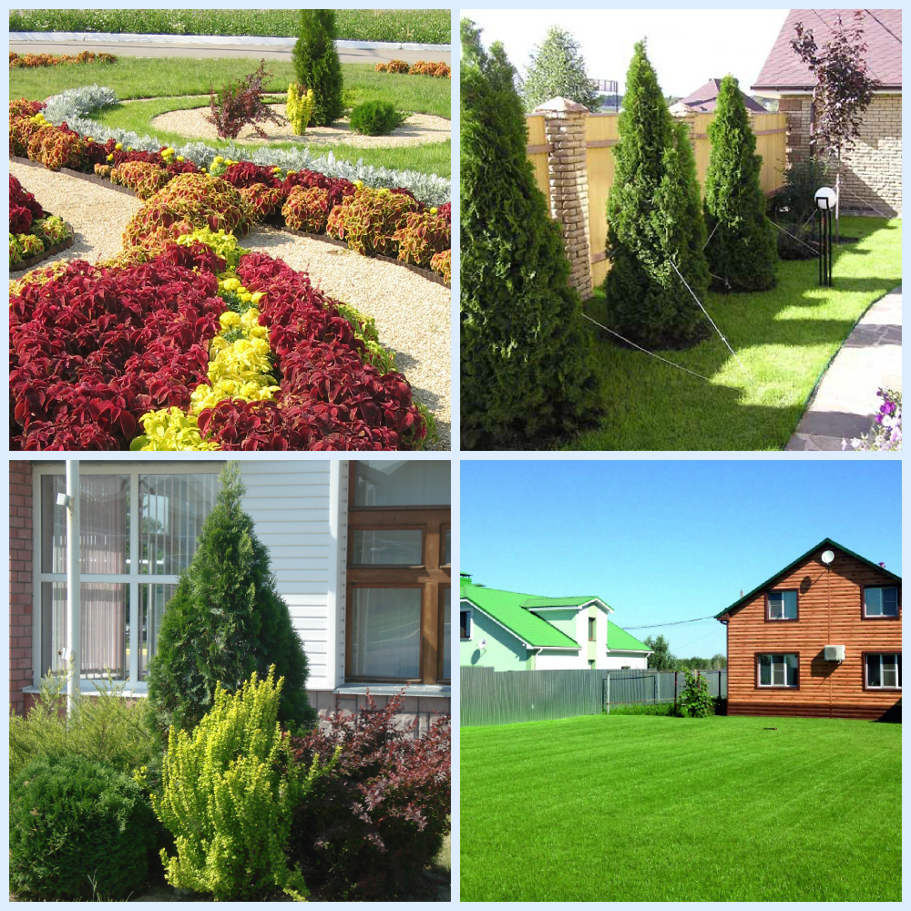 Описание изображения