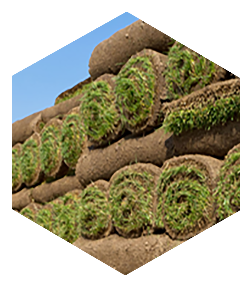 ПОставщики&nbsp;