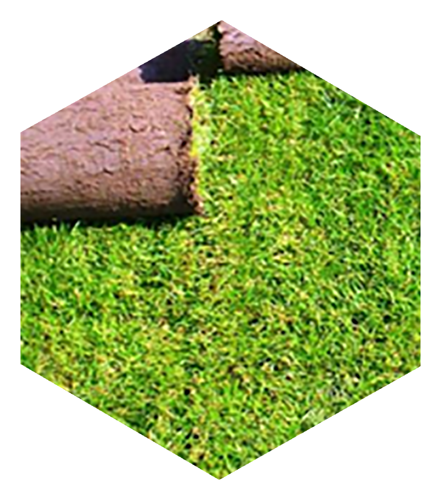 Качество&nbsp;