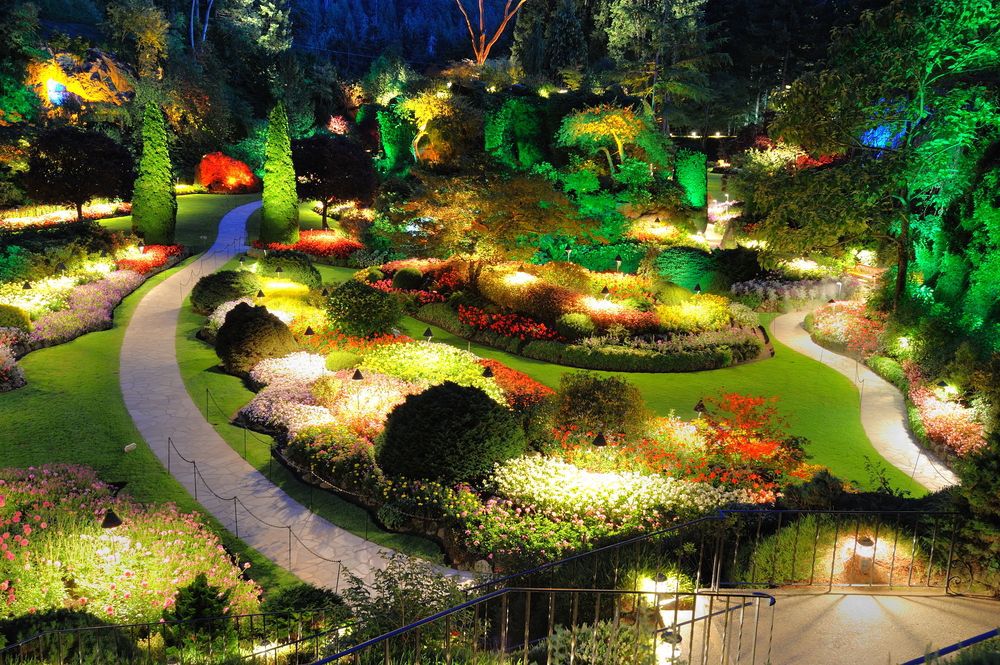 Описание изображения