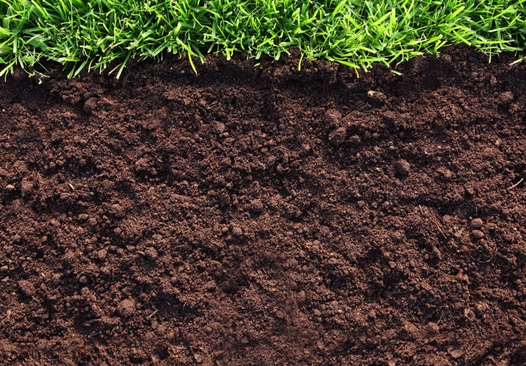 срезка растительного грунта