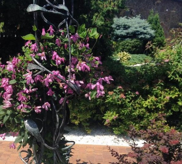 Описание изображения